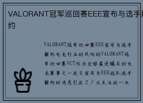 VALORANT冠军巡回赛EEE宣布与选手解约